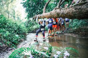 BIB: 
                            <button type="button" onclick="openModal(25465596)" class="btn btn-primary btn-sm float-right btn-popup" data-toggle="modal" data-target=".modal-high-quality">
                        <i class="fas fa-shopping-cart"></i> Add to Cart
                    </button>
                                            <button type="button" onclick="isThisMe(25465596, true)" class="btn btn-success btn-sm float-right btn-popup btn-isme hidden" data-toggle="tooltip" data-placement="bottom" title="นี่คือรูปของคุณใช่ไหม คลิกที่นี่เพื่อเอาเข้าอัลบั้ม">
                        <i class="fas fa-plus"></i> Add to album
                    </button>
                    <button type="button" onclick="isThisMe(25465596, false)" class="btn btn-warning btn-sm float-right btn-popup btn-isnotme hidden">
                        <i class="fas fa-ban"></i> Remove from album
                    </button>